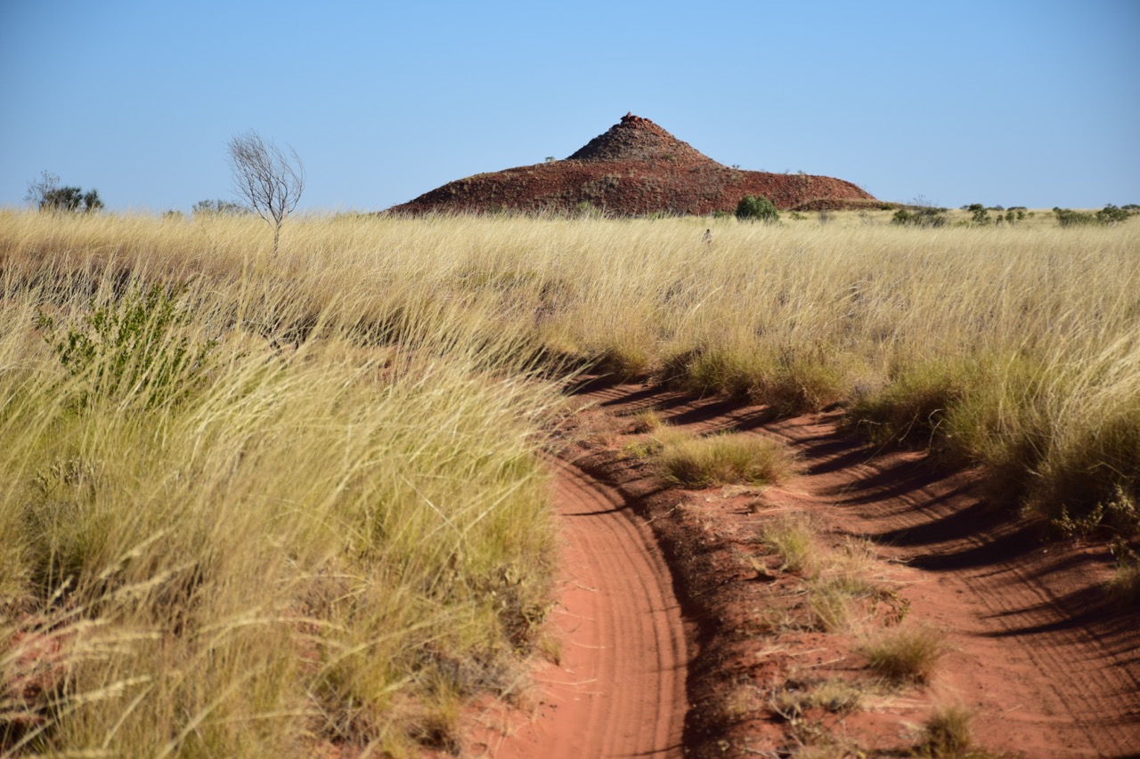 spinifex and mexican hat